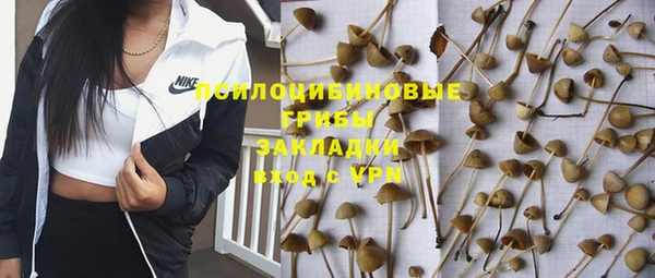 ПСИЛОЦИБИНОВЫЕ ГРИБЫ Нягань