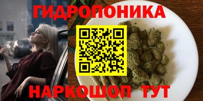 молекула духа Гусиноозёрск
