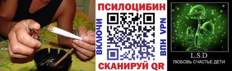 Галлюциногенные грибы GOLDEN TEACHER  Ишим 