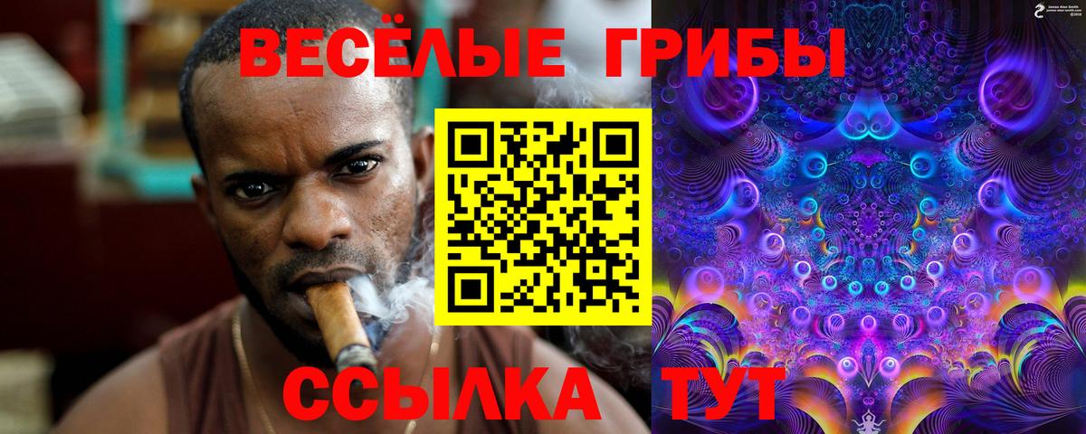 Псилоцибиновые грибы ЛСД  Псилоцибиновые грибы мицелий  Вход с VPN  Ишим 