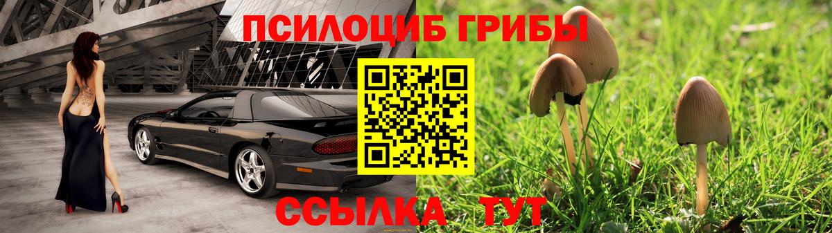 Галлюциногенные грибы Psilocybine cubensis  Ишим  Галлюциногенные грибы Psilocybine cubensis 